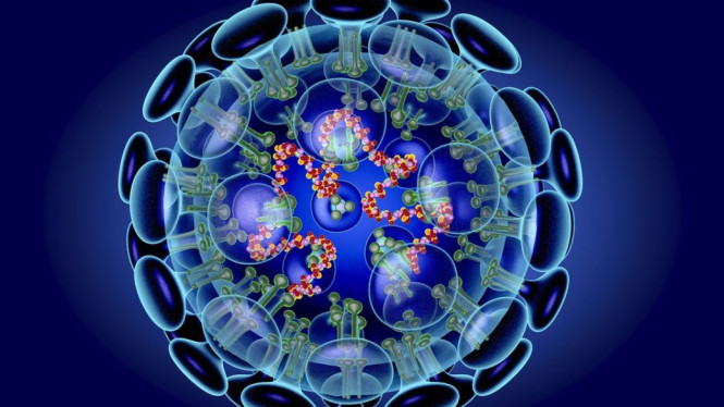 Ilustrasi virus corona - Science Photo Library