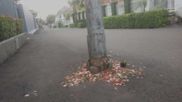 Lokasi tabrak mau yang tewaskan ibu hamil di Jakarta Barat.