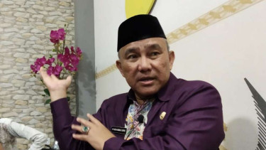 Wali Kota Depok, Mohammad Idris