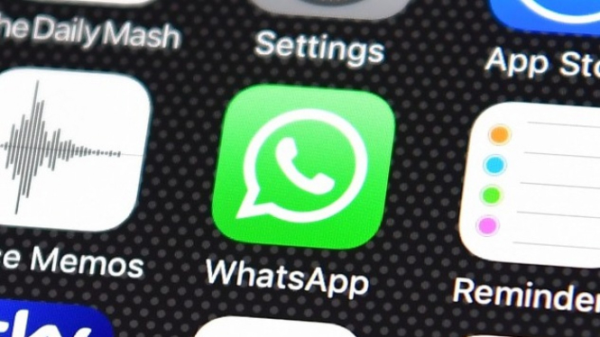 Aplikasi WhatsApp