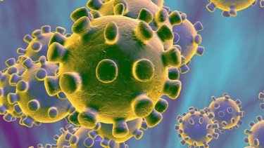 virus corona