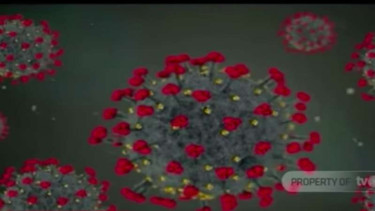 Wujud mikroskopis virus corona Covid-19.