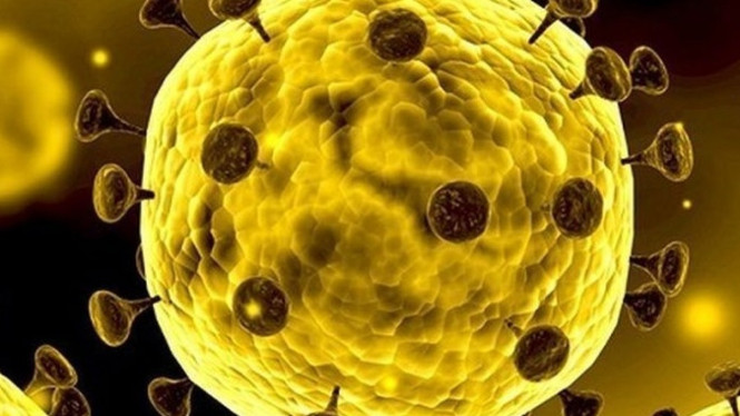 virus corona