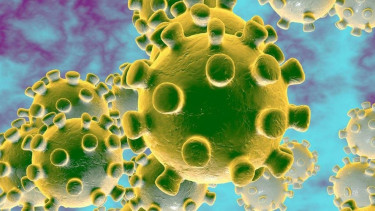virus corona