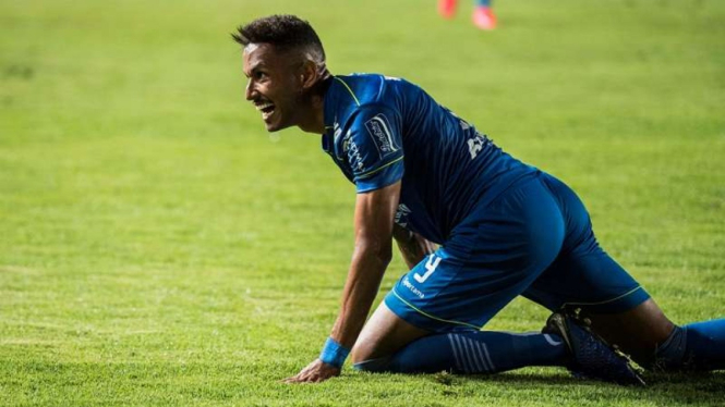 Pemain Persib Bandung, Wander Luiz