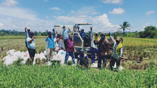 Kelompok tani di Kabupaten Nabire, Provinsi Papua melakukan Panen padi