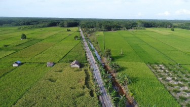 Lahan pertanian.