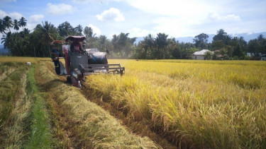 Lahan Pertanian.