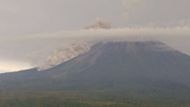 Guguran awan panas Gunung Semeru