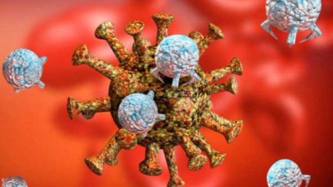 Corona virus.
