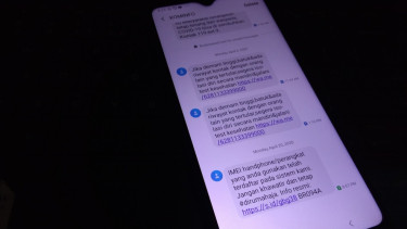 SMS Status IMEI.