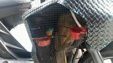 Motor matik diubah jadi sangkar burung