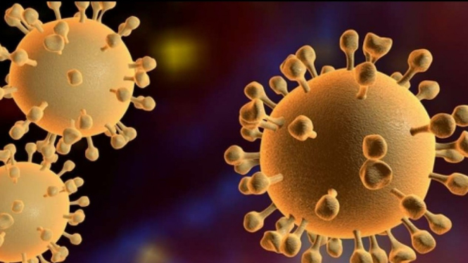 Pertanyaan tentang virus covid-19