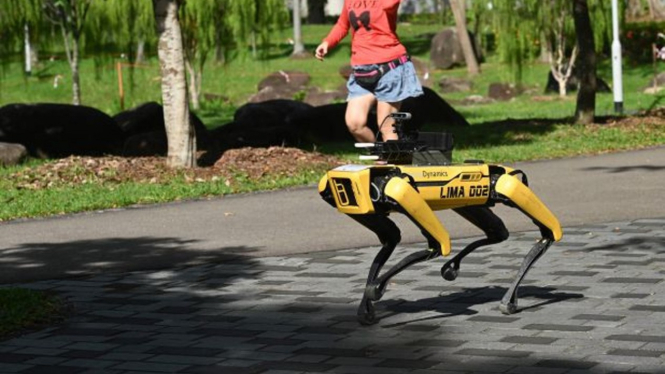 Robot Anjing Spot