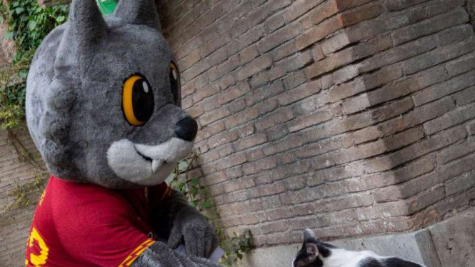 Maskot AS Roma, Romolo.