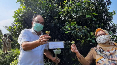 Wamendes PDTT, Budi Arie Setiadi