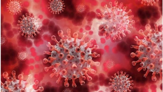 Ilustrasi virus corona/COVID-19.