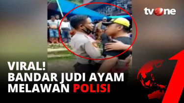 Bandar judi sabung ayam diciduk Polda Sulsel usai melawan dan mengancam polisi