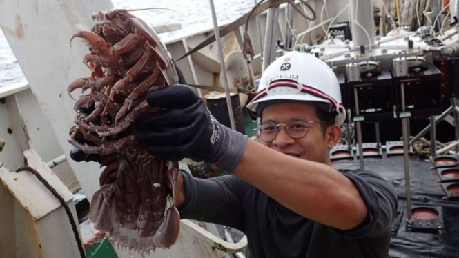 Penampakan 'Kecoak Raksasa' pertama dari dasar Selat Sunda.