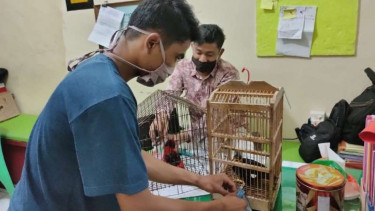 Oknum guru honorer tertangkap jual burung langka.