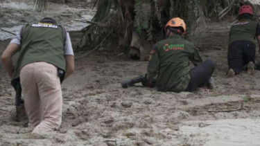 Para relawan banjir di Masamba, Luwu Utara, merayap saat evakuasi.