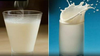 Minuman Sehat di Pagi Hari, Susu Hangat atau Susu Dingin?