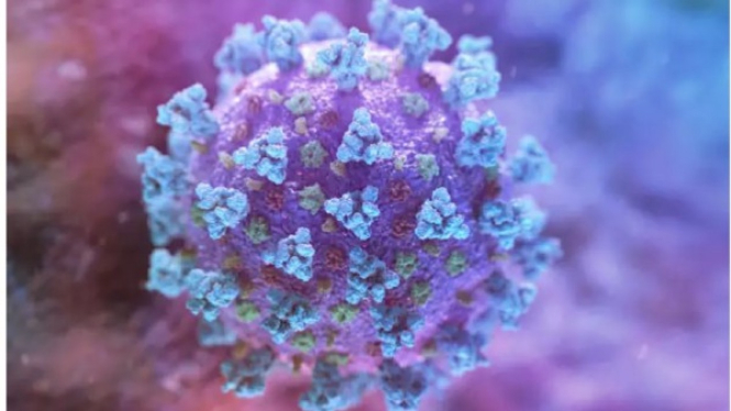 Virus corona