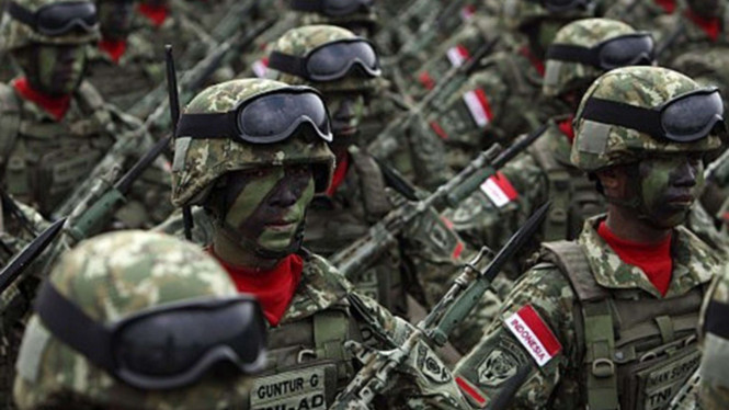 Tentara Nasional Indonesia