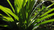 Photo Mini 1