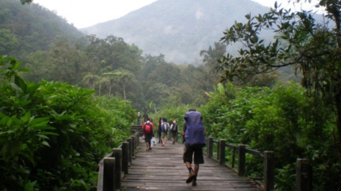 Gunung Gede