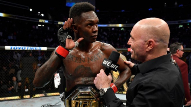 Juara kelas menengah UFC, Israel Adesanya