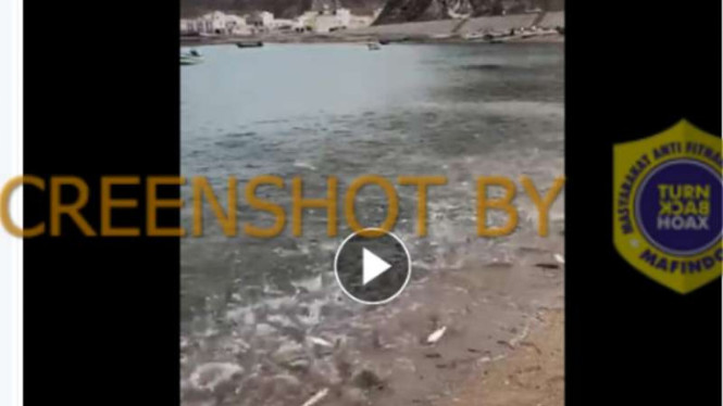Tangkapan layar (screen shot) sebuah akun Facebook yang mengunggah foto pantai dengan penampakan ribuan ikan terdampar yang diklaim terjadi di pantai Gaza, Palestina.