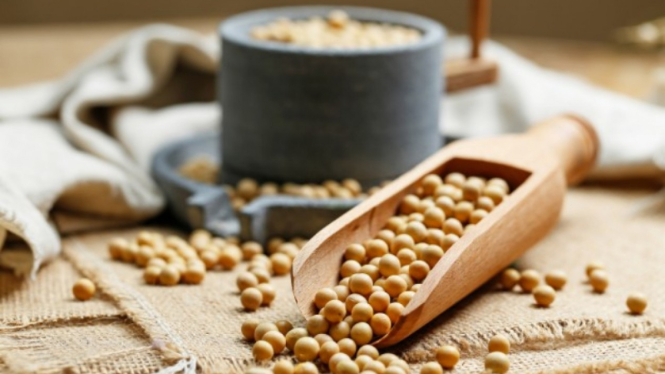 Kacang kedelai.