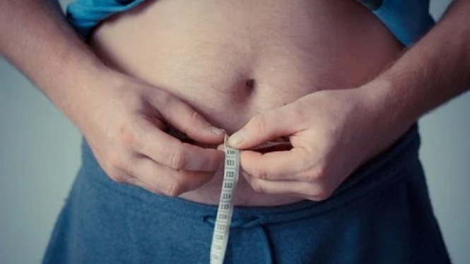 Obesitas  bisa picu perlemakan hati