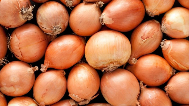 Bawang bombai (Getty Images via BBC Indonesia)