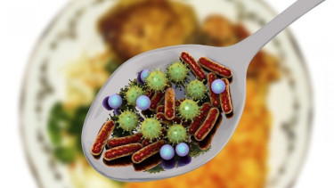Norovirus 