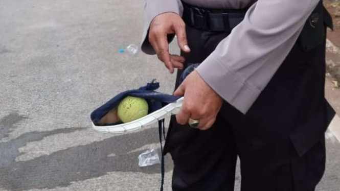 Bola kasti diduga berisi bahan kimia.