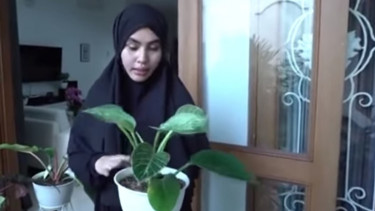 Kartika Putri dan koleksi tanaman mahalnya