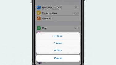 Tombol mute di aplikasi WhatsApp
