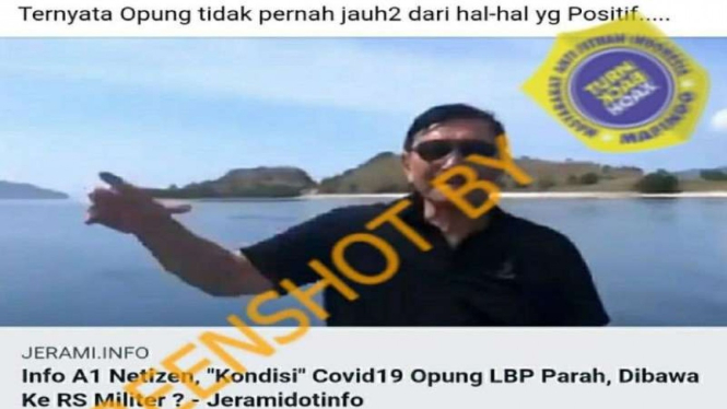 Hoax Luhut Binsar Panjaitan positif COVID-19