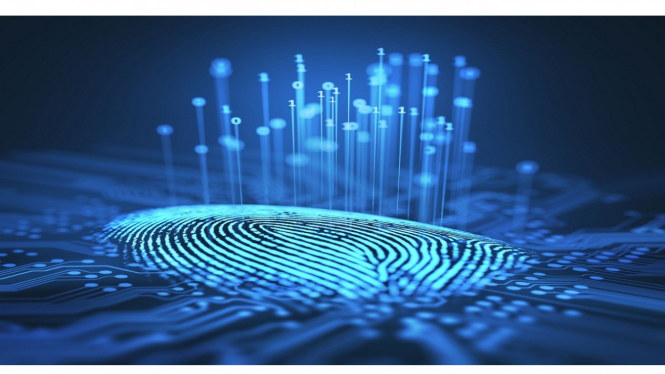 Ilustrasi fingerprint.