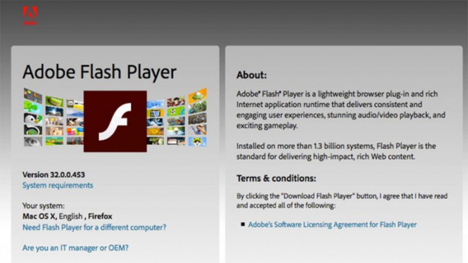 Adobe Flash