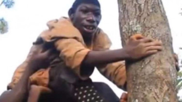 Zanziman Ellie yang tinggal di hutan Afrika