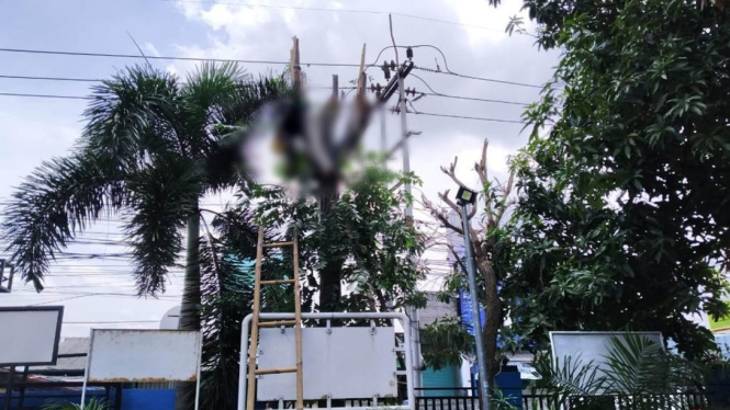 Petugas PLN gugur saat bertugas.