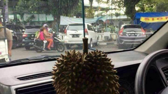 Buah durian jadi pengharum mobil