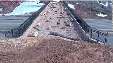 Jembatan penyebarangan untuk satwa liar di Utah, AS.
