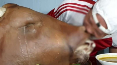 Mukbang kepala sapi utuh