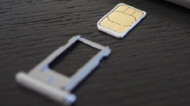 Kartu SIM atau SIM card.