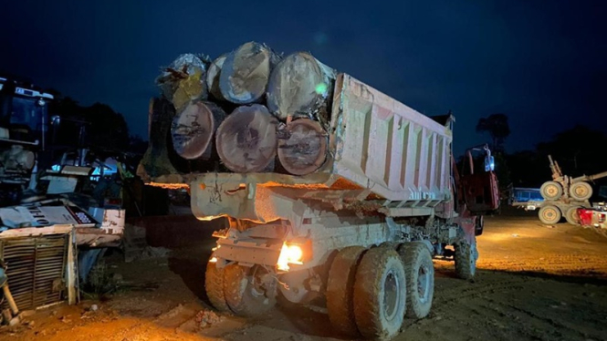 Pembalakan liar atau ilegal logging di Kalimantan Tengah