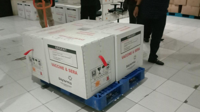 Kotak vaksin COVID-19 dari Biofarma
